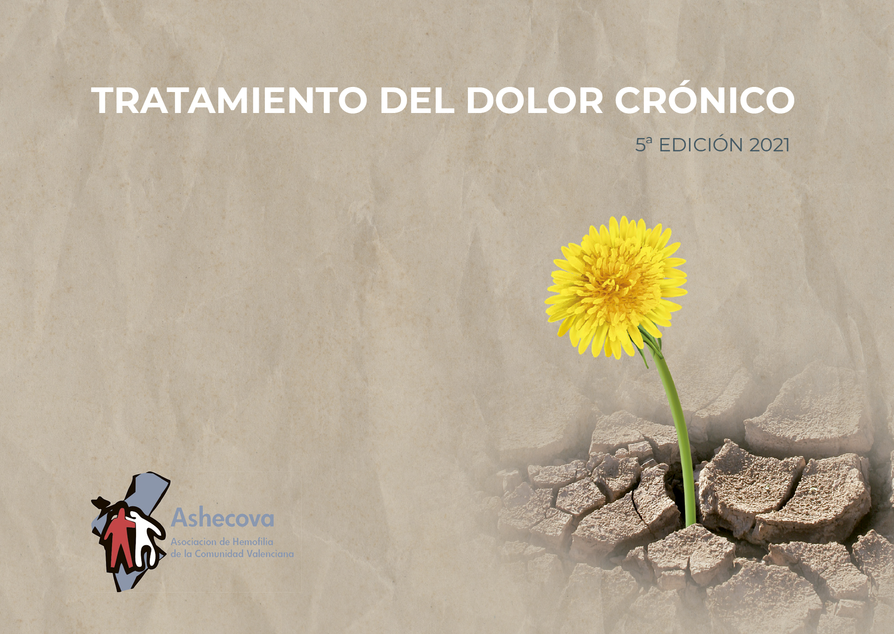 video promocional